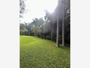 Terreno en venta en Acapatzingo, Cuernavaca — foto 2 de 7