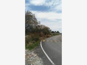 Terreno en venta en Chipilo de Francisco Javier Mina, San Gregorio Atzompa — foto 2 de 3
