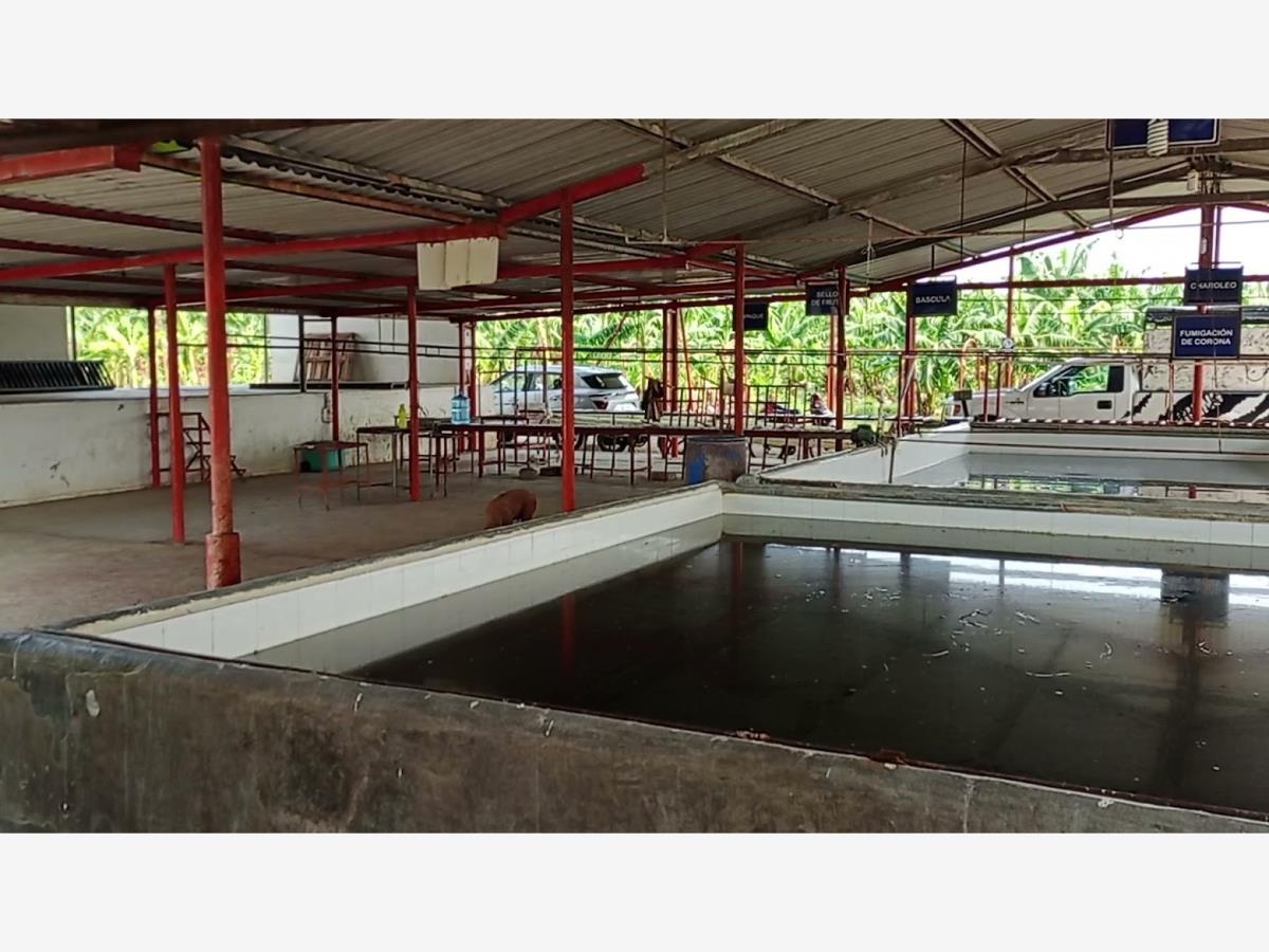 Finca-Rancho en venta en Lazaro Cardenas, Teapa — foto 1 de 7