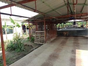 Finca-Rancho en venta en Lazaro Cardenas, Teapa — foto 3 de 7