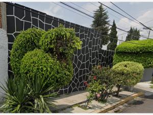 Casa en venta en Miguel Hidalgo 2a Seccion, Tlalpan — foto 2 de 11