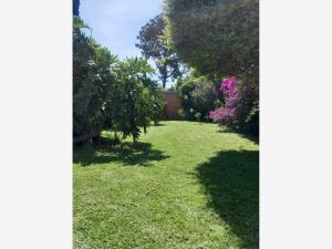 Casa en venta en Jesús Tlatempa, San Pedro Cholula — foto 3 de 16