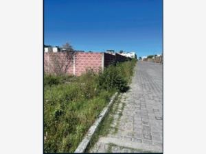Terreno en venta en Ex-Hacienda la Carcaña, San Pedro Cholula — foto 3 de 8