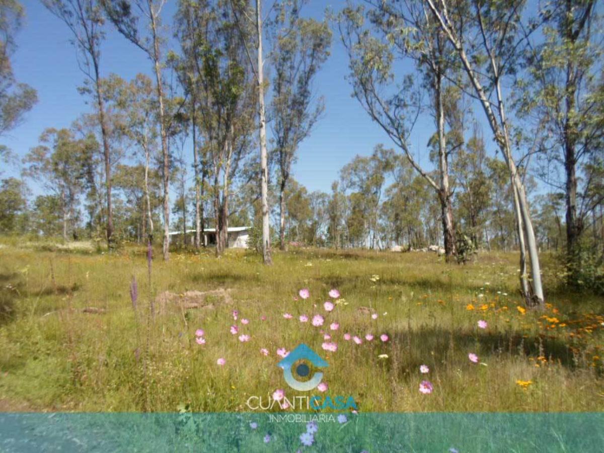 Terreno en venta en Santiago Undameo, Morelia — foto 1 de 5