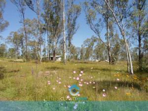 Terreno en venta en Santiago Undameo, Morelia, Michoacán de Ocampo Terreno en venta en Santiago Undameo, Morelia, Michoacán de Ocampo