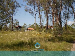 Terreno en venta en Santiago Undameo, Morelia — foto 2 de 5