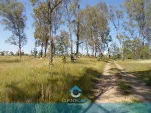 Terreno en venta en Santiago Undameo, Morelia — foto 3 de 5
