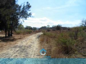 Terreno en venta en San Lorenzo Itzicuaro, Morelia — foto 3 de 4