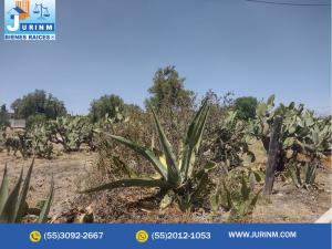 Terreno en venta en San Felipe (Moratepec), Nopaltepec — foto 3 de 6
