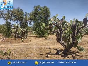 Terreno en venta en San Felipe (Moratepec), Nopaltepec, México