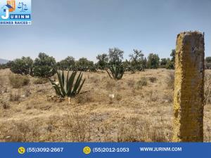 Terreno en venta en San Felipe (Moratepec), Nopaltepec — foto 2 de 5