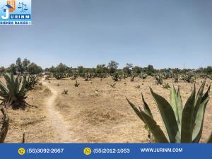 Terreno en venta en San Felipe (Moratepec), Nopaltepec — foto 3 de 5