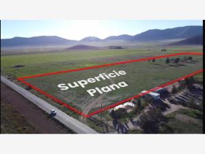 Terreno en San Antonio de las Alazanas, Arteaga, Coahuila de Zaragoza