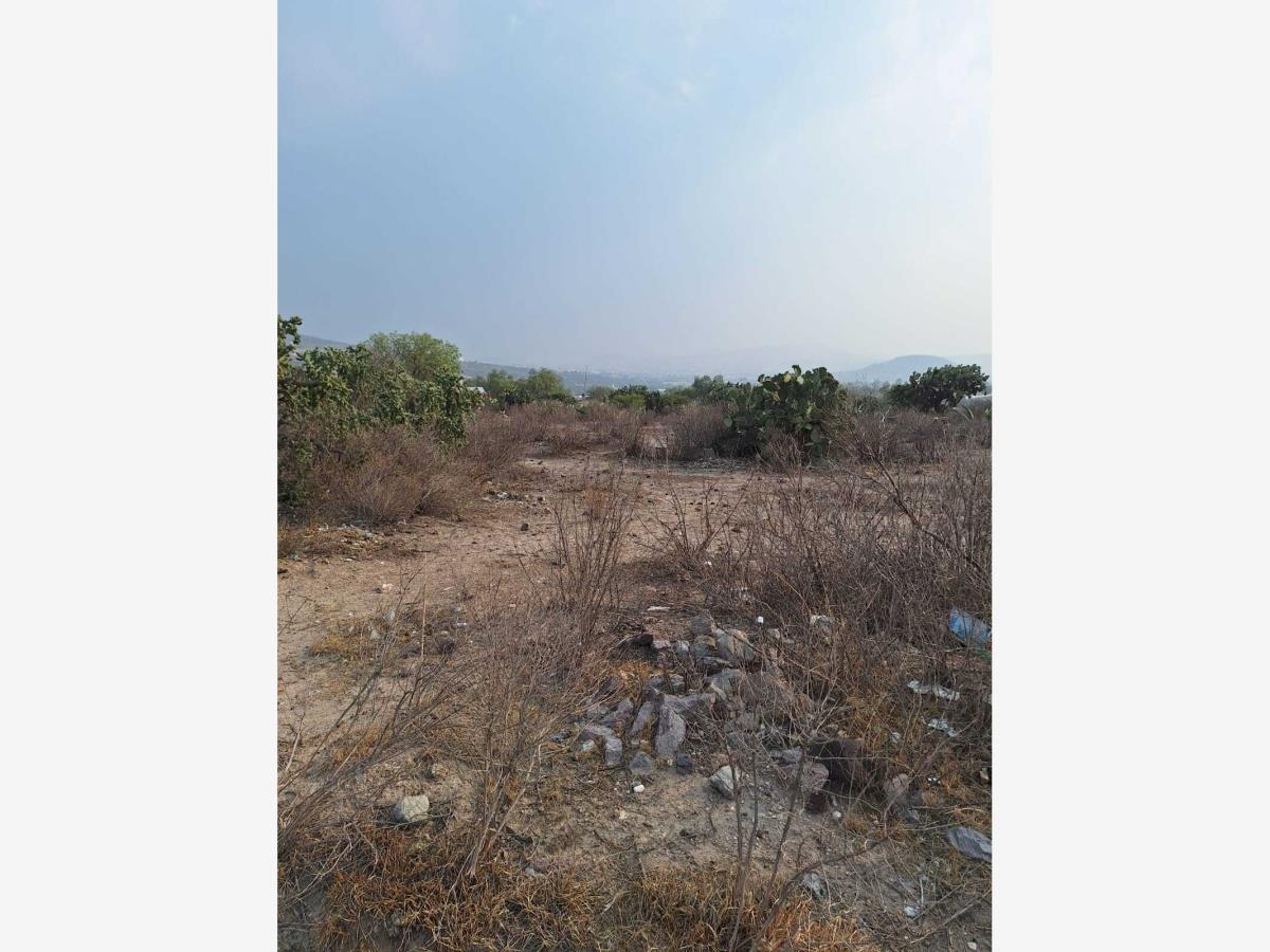 Terreno en venta en San Juan Tilcuautla, San Agustín Tlaxiaca — foto 1 de 21