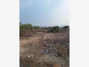 Terreno en venta en San Juan Tilcuautla, San Agustín Tlaxiaca, Hidalgo