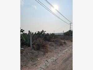 Terreno en venta en San Juan Tilcuautla, San Agustín Tlaxiaca — foto 2 de 21
