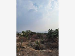 Terreno en venta en San Juan Tilcuautla, San Agustín Tlaxiaca — foto 3 de 21