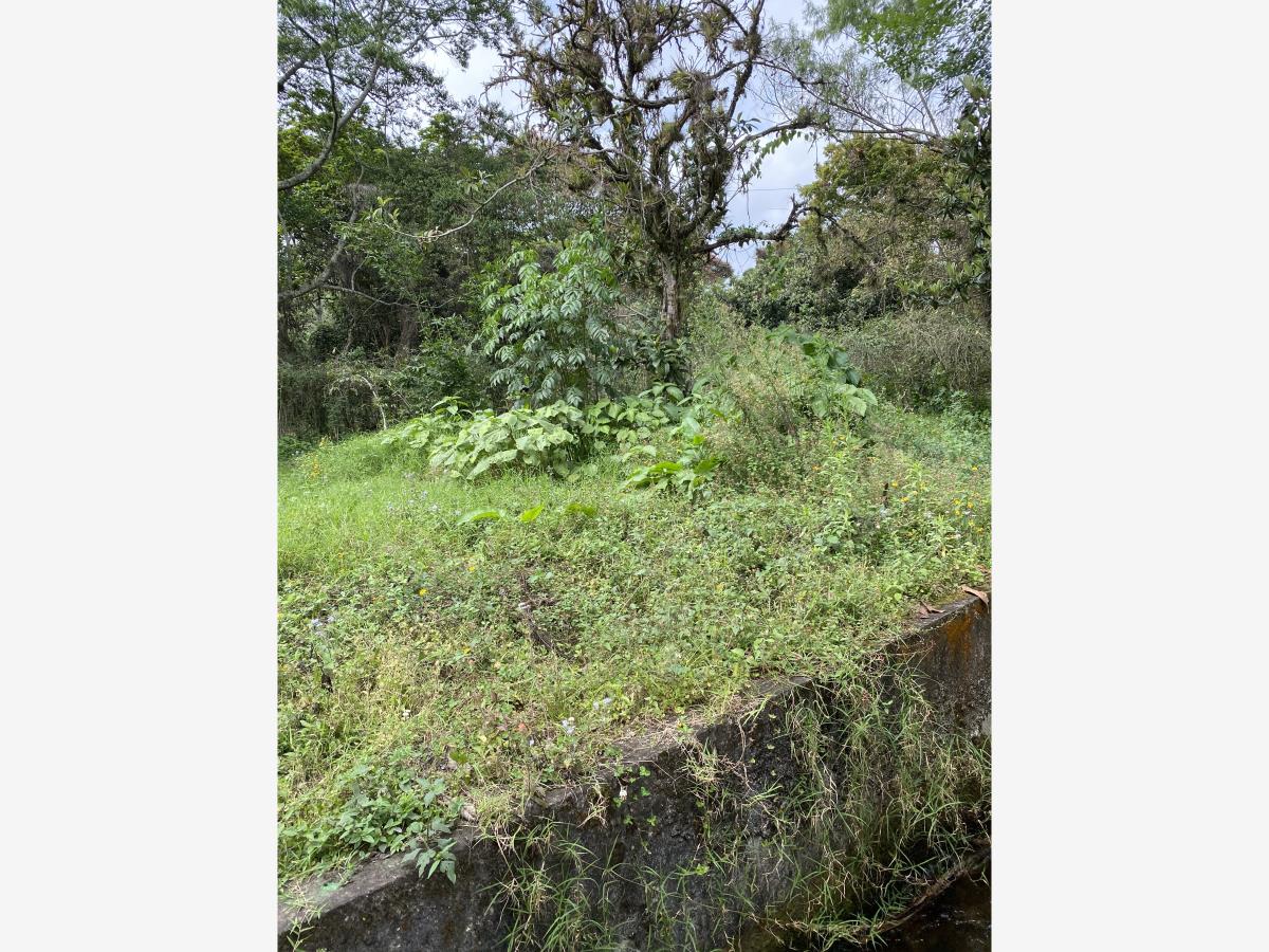 Terreno en venta en Tlacuilolan, Xico — foto 1 de 5