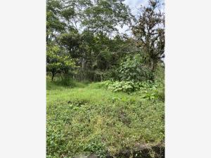 Terreno en venta en Tlacuilolan, Xico — foto 2 de 5