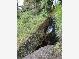Terreno en venta en Tlacuilolan, Xico — foto 3 de 5
