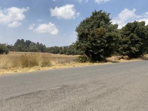 Terreno en venta en Laguna Seca Propiedad, Villa Victoria — foto 3 de 10