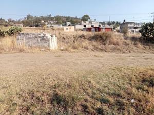 Terreno en venta en San Andres Ahuashuatepec, Tzompantepec — foto 3 de 5