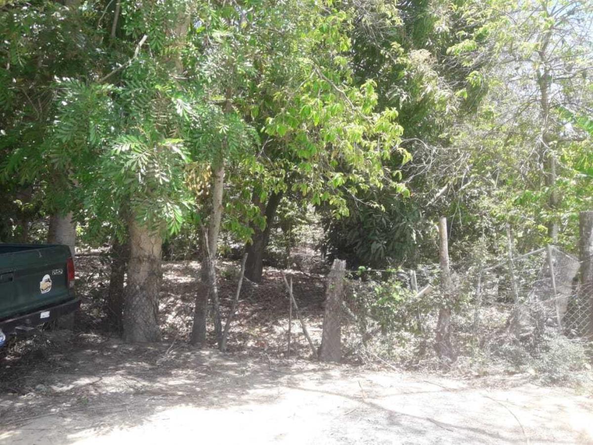 Terreno en venta en La Cruz de Loreto, Tomatlán — foto 1 de 14