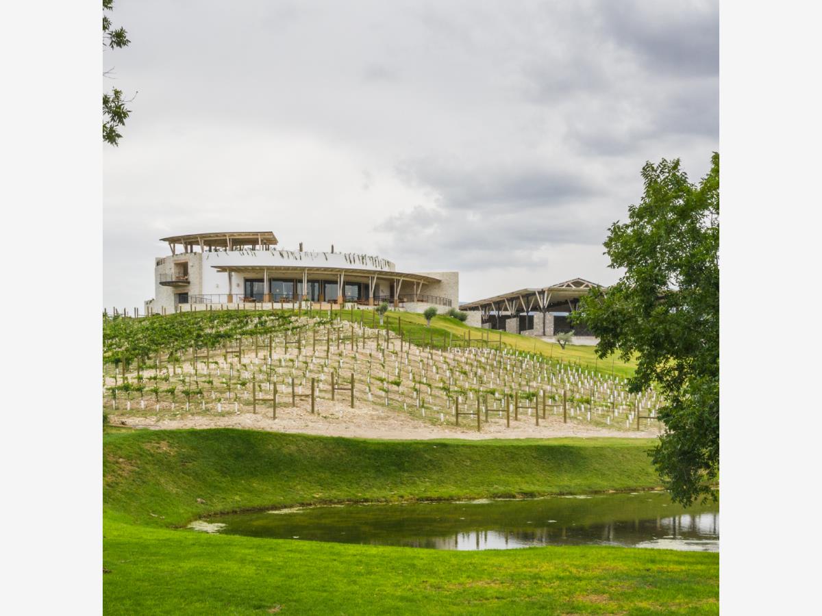 Terreno en venta en Parras, Parras — foto 1 de 8