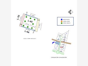 Terreno en venta en Parras, Parras — foto 2 de 8