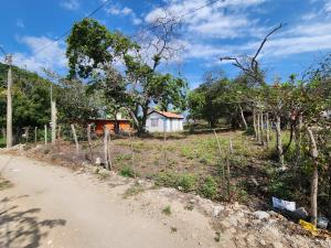 Quinta en venta en Lomas del Real, Altamira — foto 2 de 5