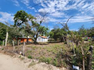 Quinta en venta en Lomas del Real, Altamira — foto 3 de 5