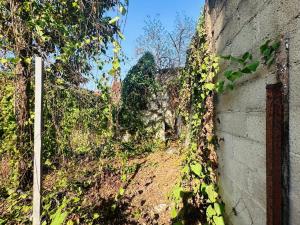Casa en venta en Merida Centro, Mérida — foto 3 de 10