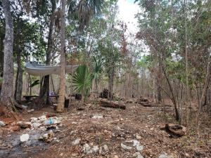 Terreno en venta en Natura Playa del Carmen, Solidaridad — foto 3 de 13