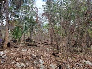 Terreno en venta en Natura Playa del Carmen, Solidaridad — foto 2 de 13