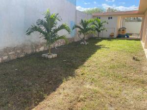 Terreno en venta en Dzitya, Mérida — foto 3 de 20