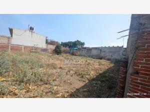 Terreno en venta en Tetelcingo, Cuautla — foto 3 de 6