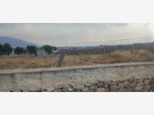 Terreno en venta en Mesa de las Cabras, Arteaga — foto 2 de 5