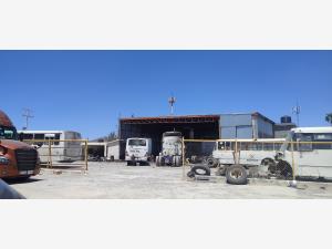 Terreno en renta en Parajes de los Pinos, Ramos Arizpe — foto 2 de 3