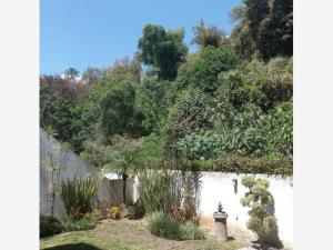 Casa en venta en Lomas de Tzompantle, Cuernavaca — foto 2 de 18