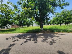 Terreno en venta en San Armando, Torreón — foto 3 de 6