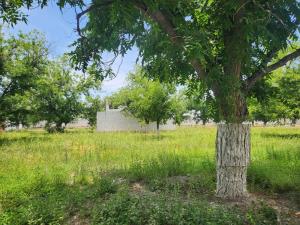 Terreno en venta en San Armando, Torreón — foto 2 de 6