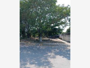 Terreno en venta en 2 Caminos, Veracruz — foto 3 de 7
