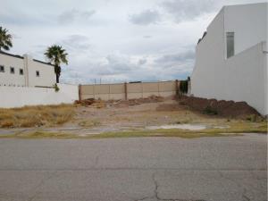 Terreno en venta en Villas las Margaritas, Torreón — foto 3 de 15