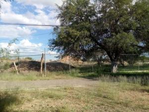 Terreno en venta en El Bajio, Rincón de Romos — foto 2 de 20