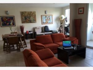 Departamento en renta en Delicias, Cuernavaca — foto 3 de 29