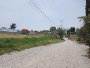 Terreno en venta en Centro Jiutepec, Jiutepec — foto 3 de 8