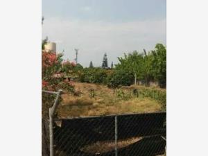 Terreno en venta en Centro Jiutepec, Jiutepec — foto 3 de 8