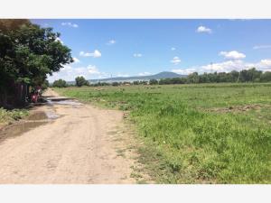 Terreno en venta en El Romeral, Corregidora — foto 2 de 11