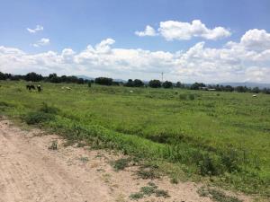 Terreno en venta en El Romeral, Corregidora — foto 3 de 11