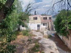 Terreno en venta en Saltillo Centro, Saltillo — foto 3 de 7